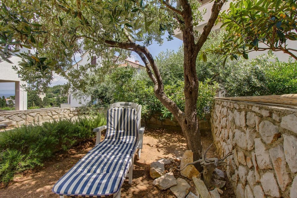 Patio, Area and facilities