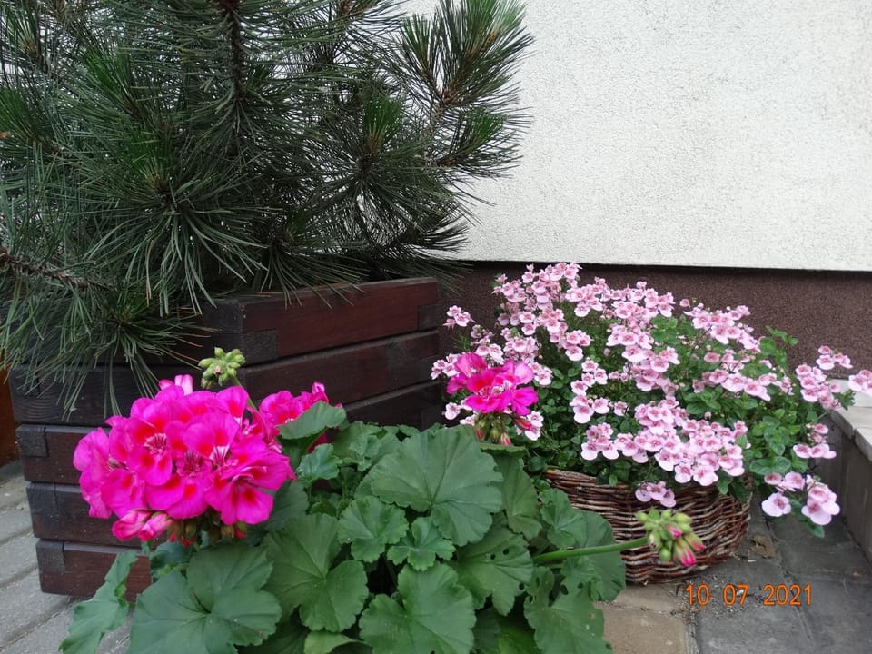 Niedaleko Morza Vacation rental in Wladyslawowo