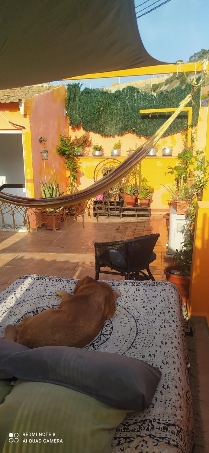 La Casita de Celia Apartment in Alicante