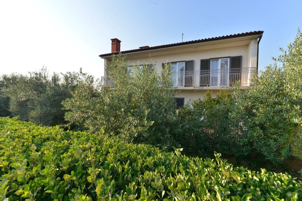 Property building, Day, Garden view