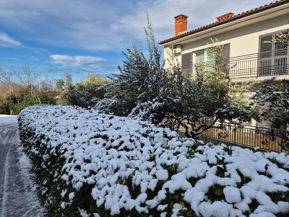 Property building, Winter