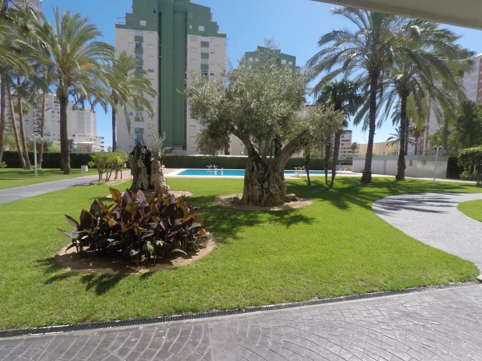 Apartamento La Florida en Playa de Gandía Apartment in Safor
