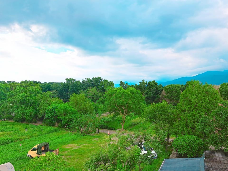 Day, Natural landscape, Bird's eye view, Garden view