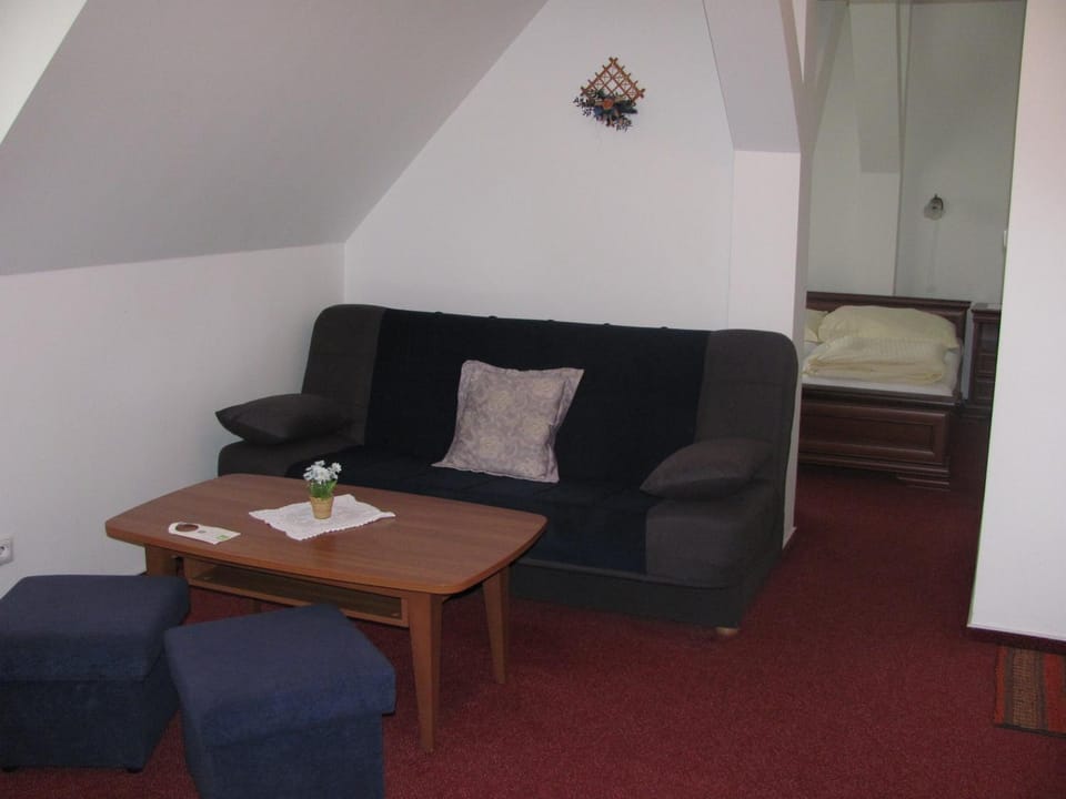Šindlerův Dvůr Bed and Breakfast in Czechia