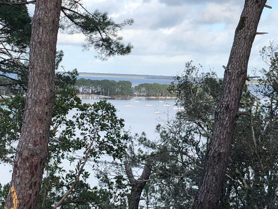 Lake view