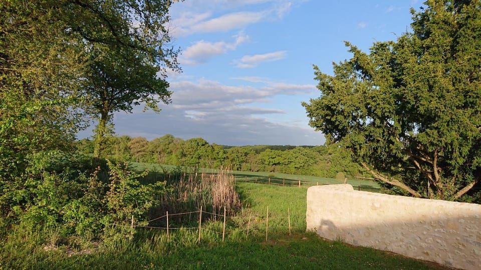 Natural landscape