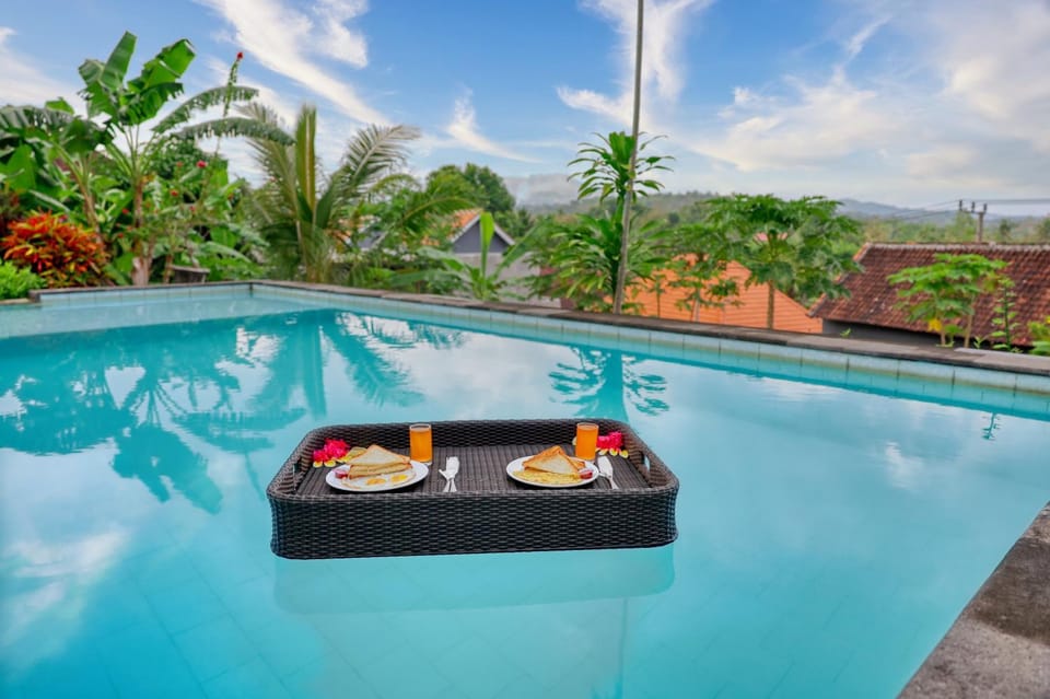 Swimming pool, Breakfast