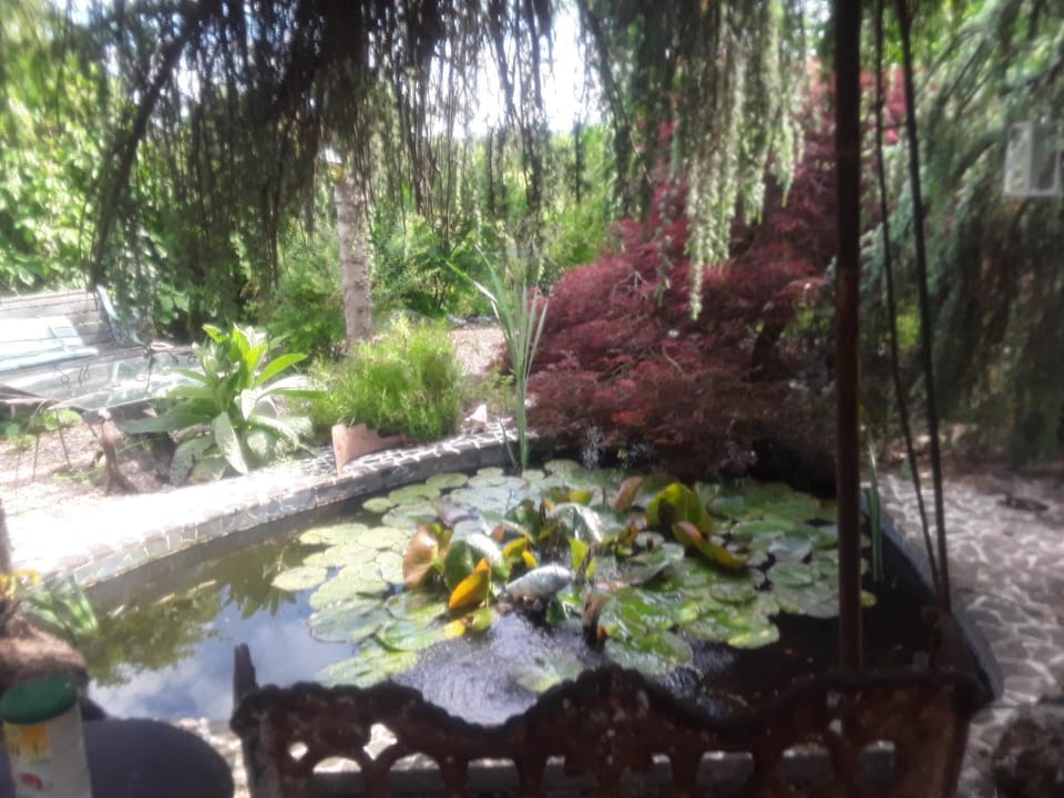 Touch of Spain in Rural France Bed and Breakfast in Nouvelle-Aquitaine