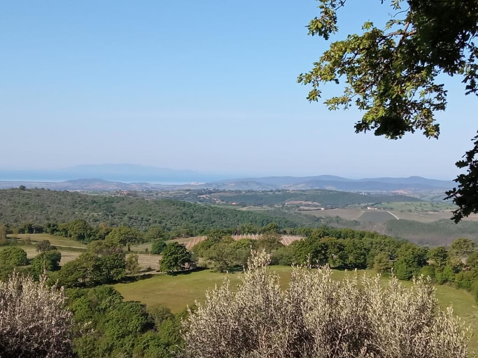 Natural landscape