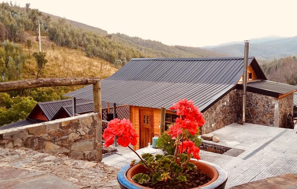 Casa do Ouriço Farm Stay in Coimbra District, Portugal