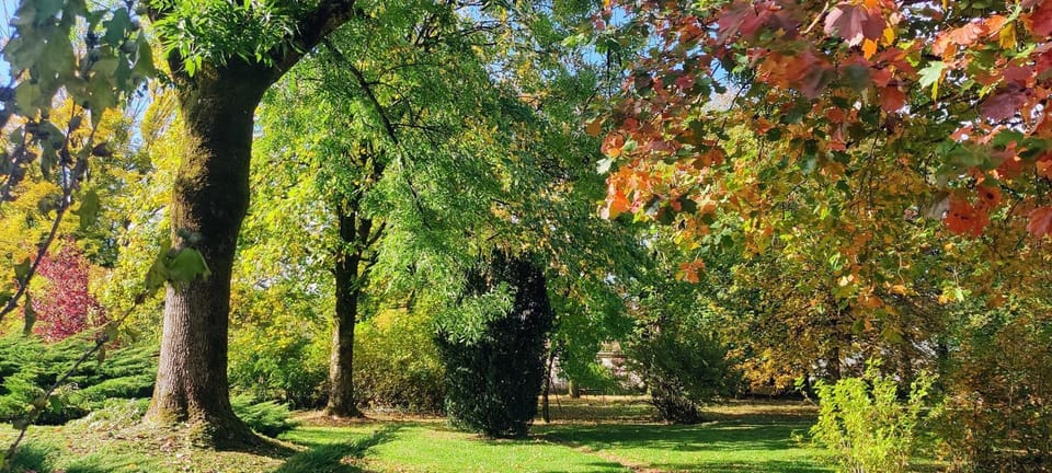 Natural landscape, Garden, Garden view
