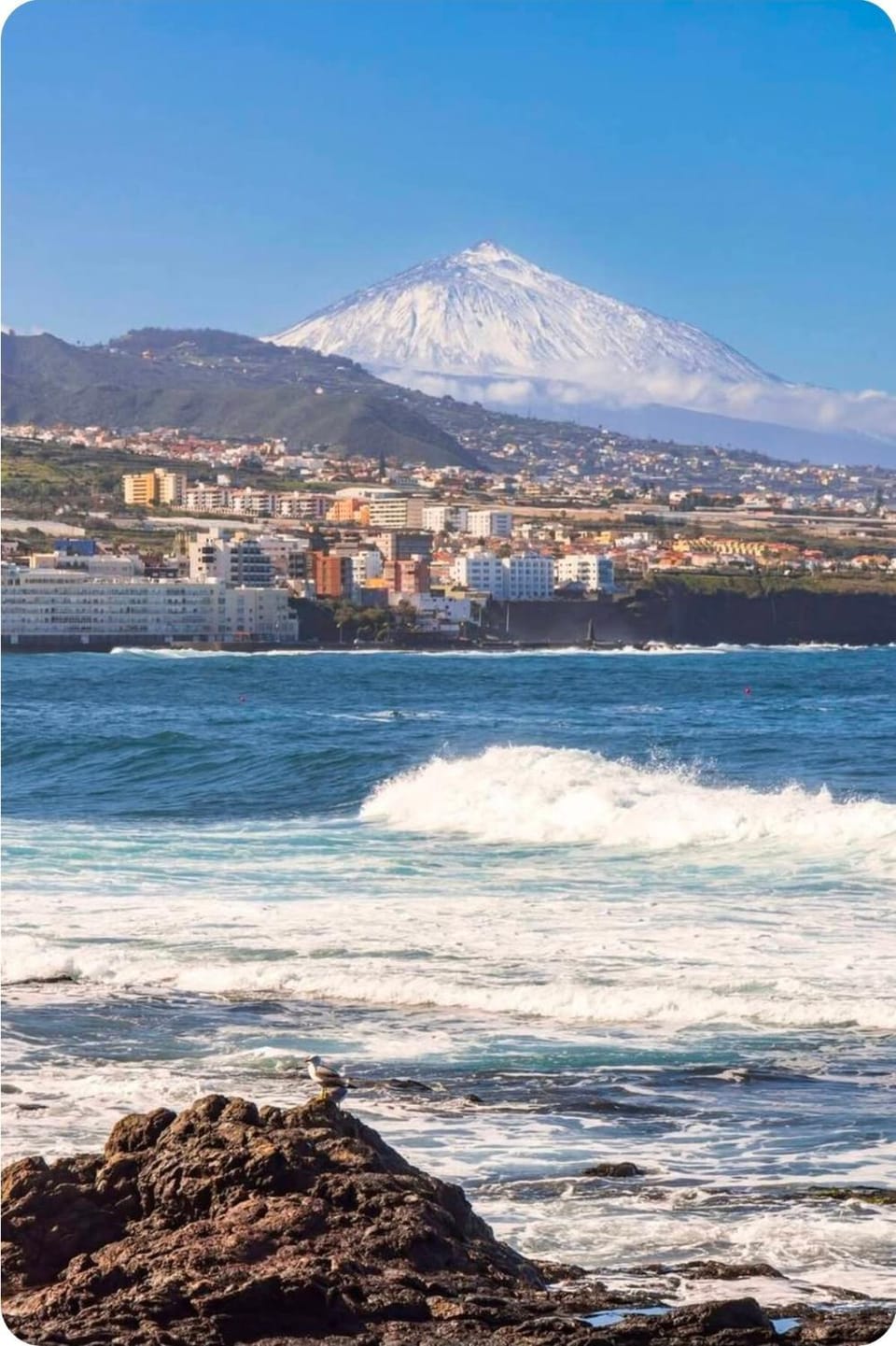 vistas al mar Apartment in Canary Islands