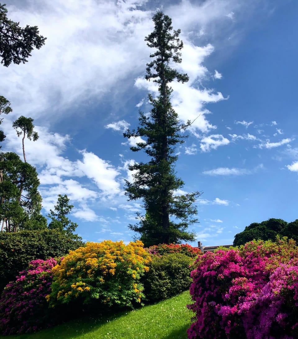Garden, Garden