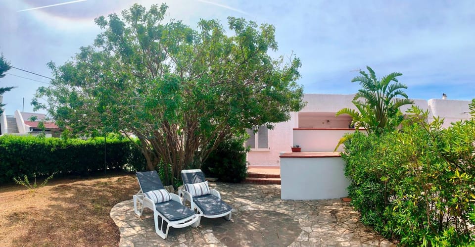 Garden, sunbed