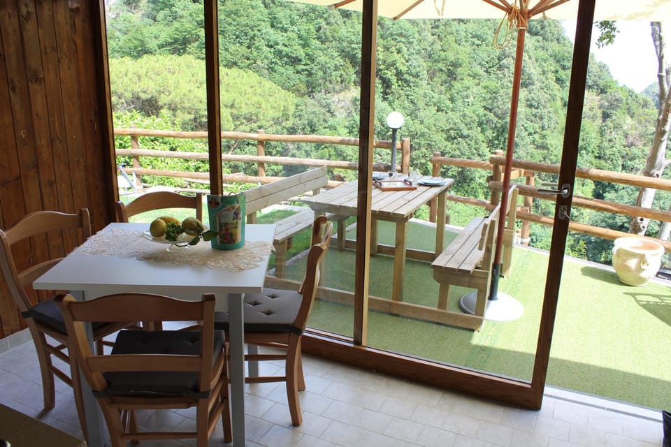Patio, Balcony/Terrace, Dining area