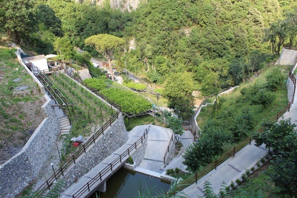 Facade/entrance, Natural landscape, Bird's eye view