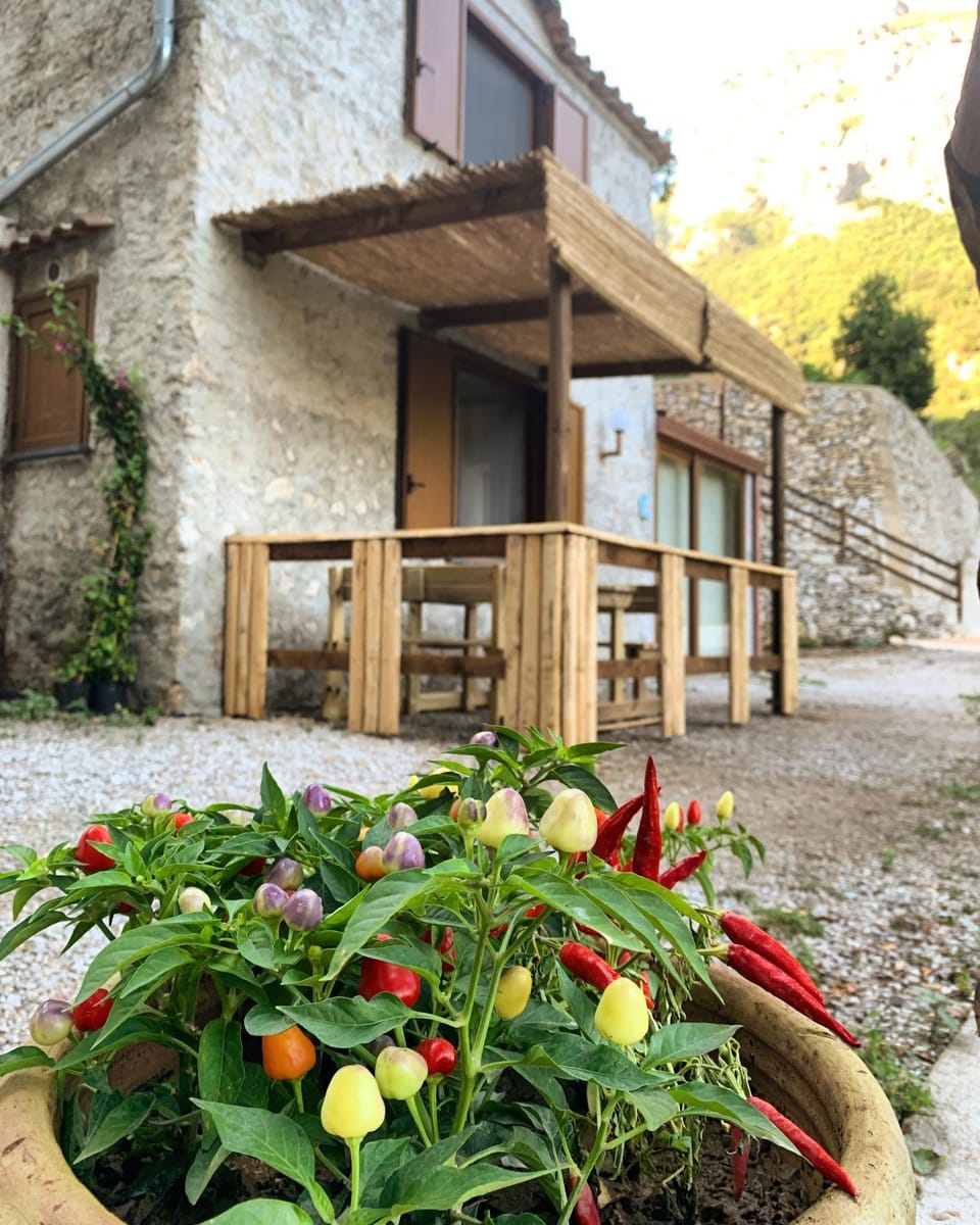 Property building, Patio, Facade/entrance, Garden