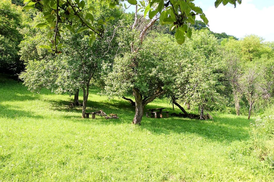 Natural landscape, Garden view