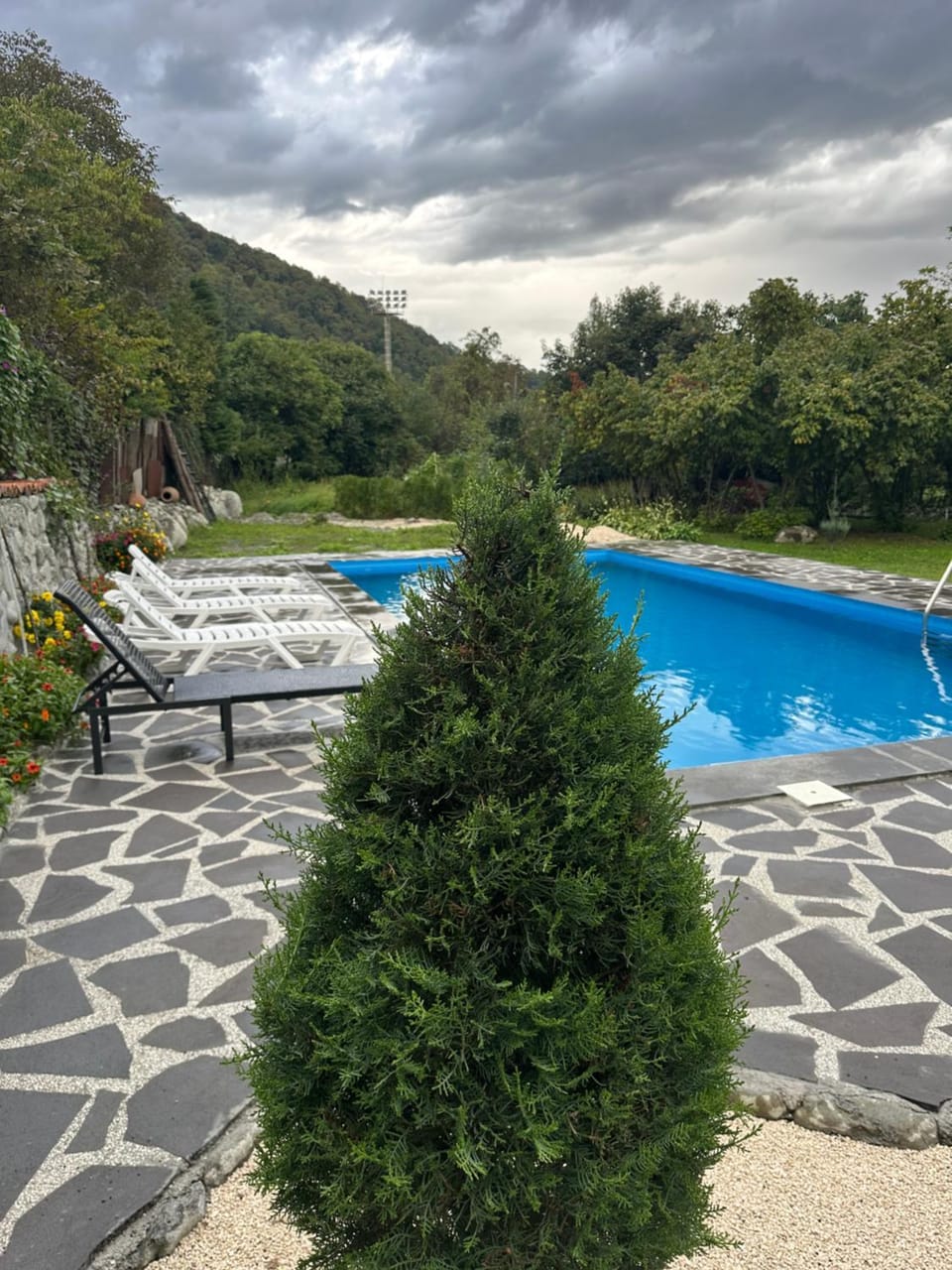 DreamLand Lagodekhi & Wine Cellar Bed and Breakfast in Georgia