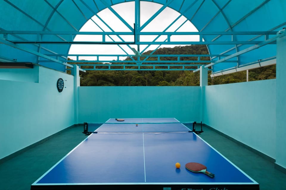 Table tennis