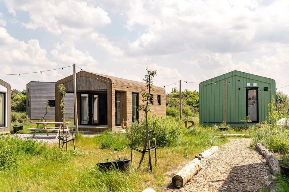 Property building, Day, Garden
