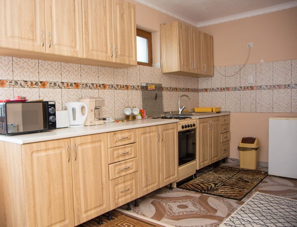 Casa Stefania 1 Apartment in Romania