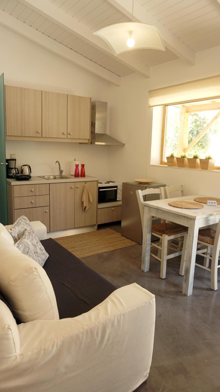 Kitchen or kitchenette, Living room, Seating area