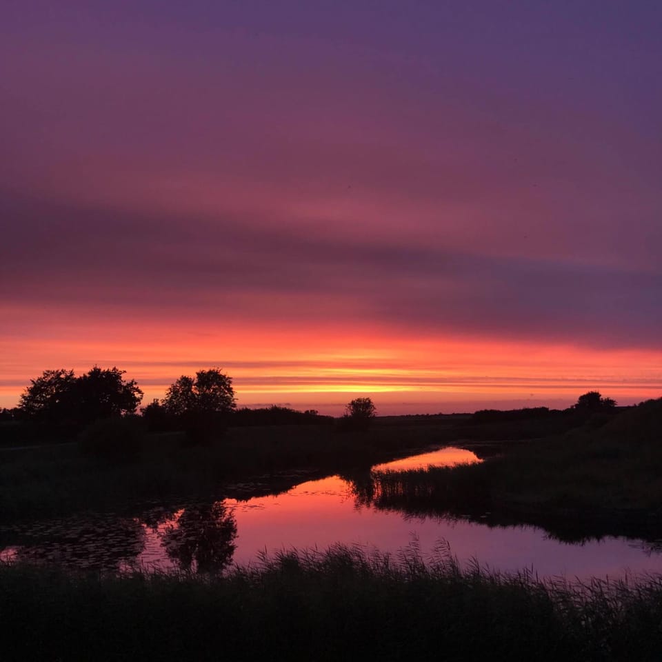 Bjerrumgaard bed and breakfast Bed and Breakfast in Region of Southern Denmark