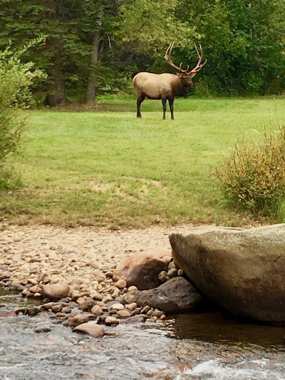 Riversong Inn Retreat Bed and Breakfast in Estes Park