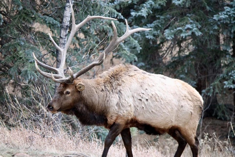 Riversong Inn Retreat Bed and Breakfast in Estes Park