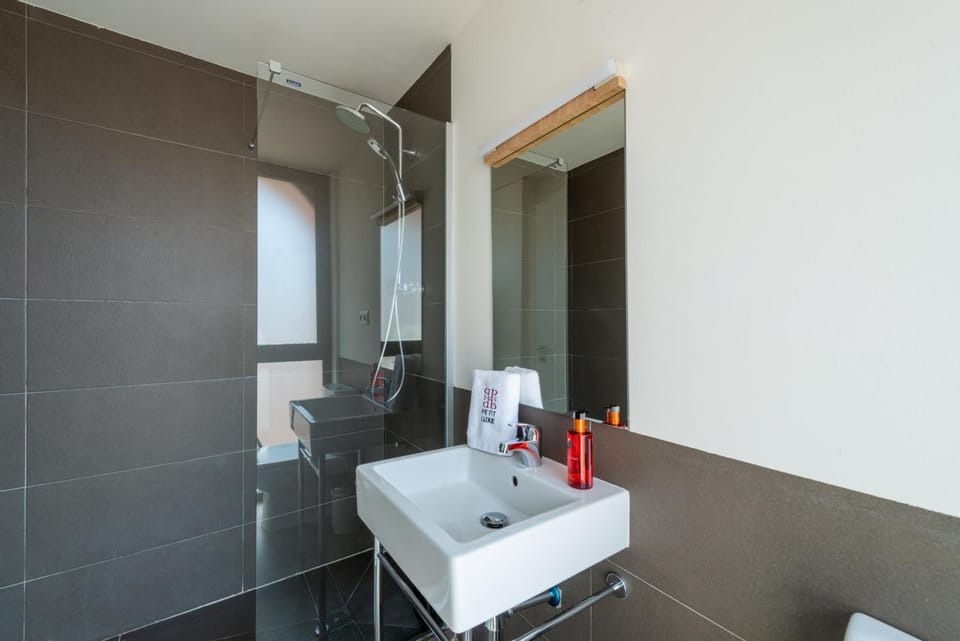 Petit Luxe Tobella Dreta Apartment in Terrassa