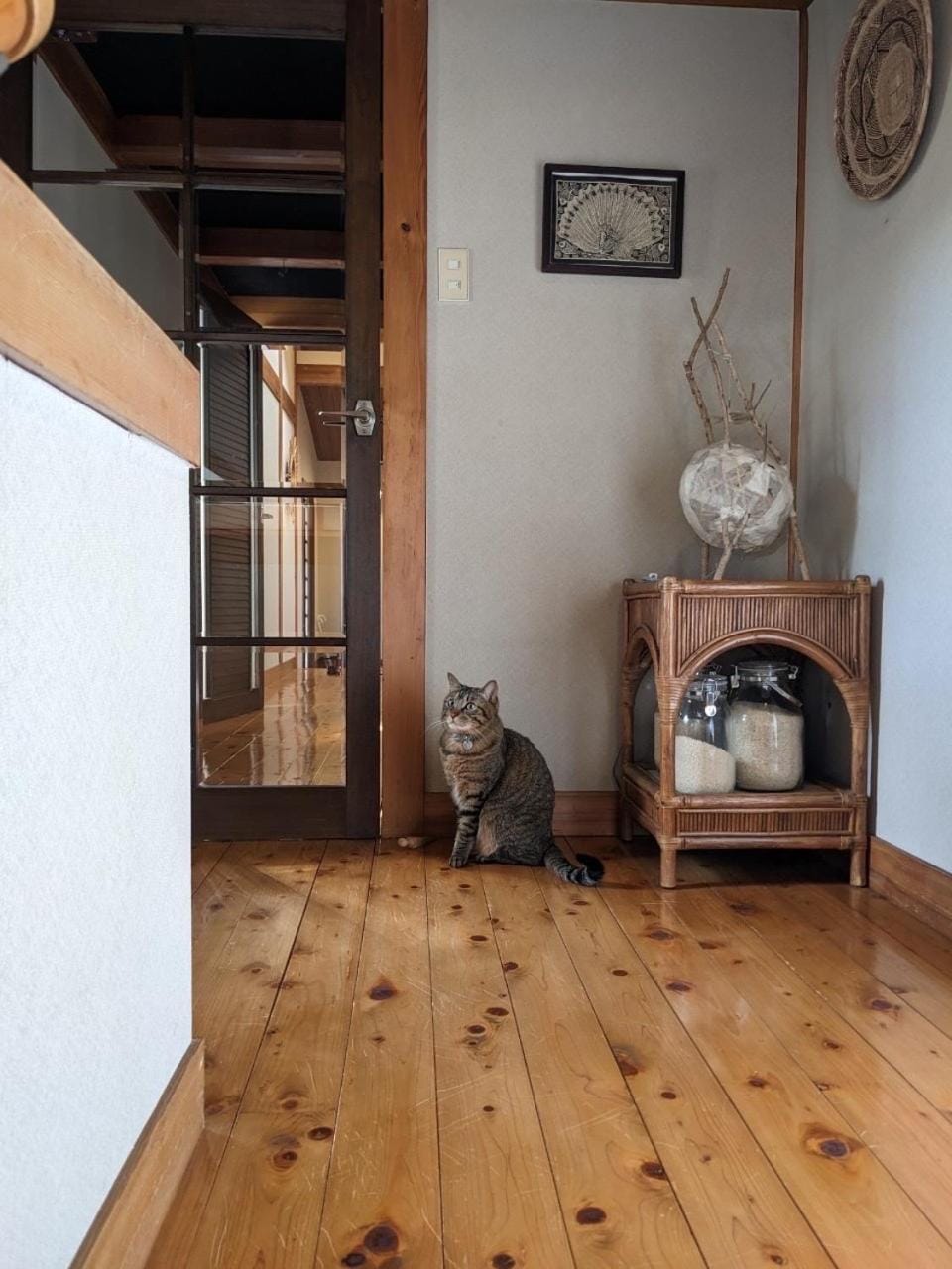 Pets