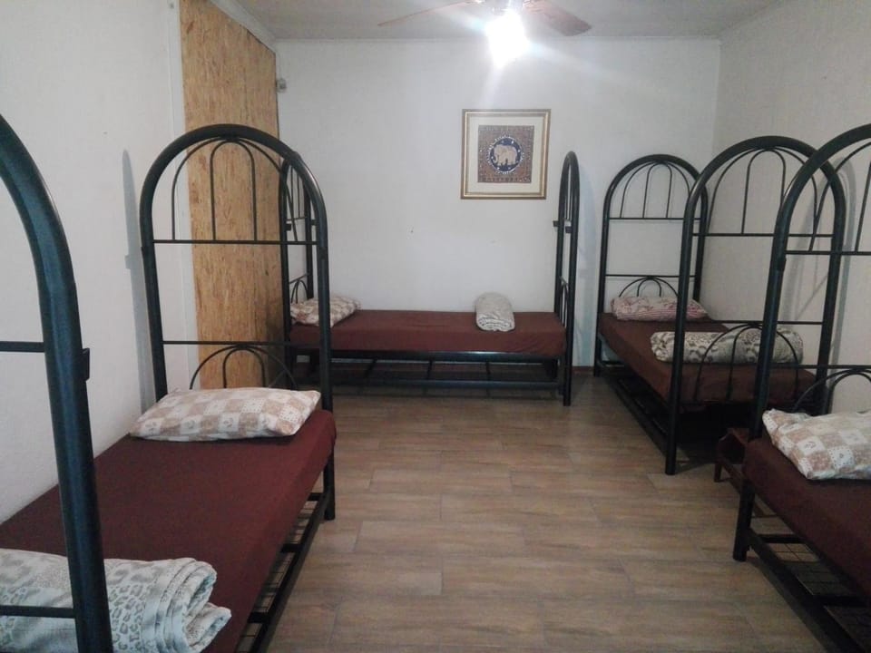 Photo of the whole room, Bedroom, bunk bed