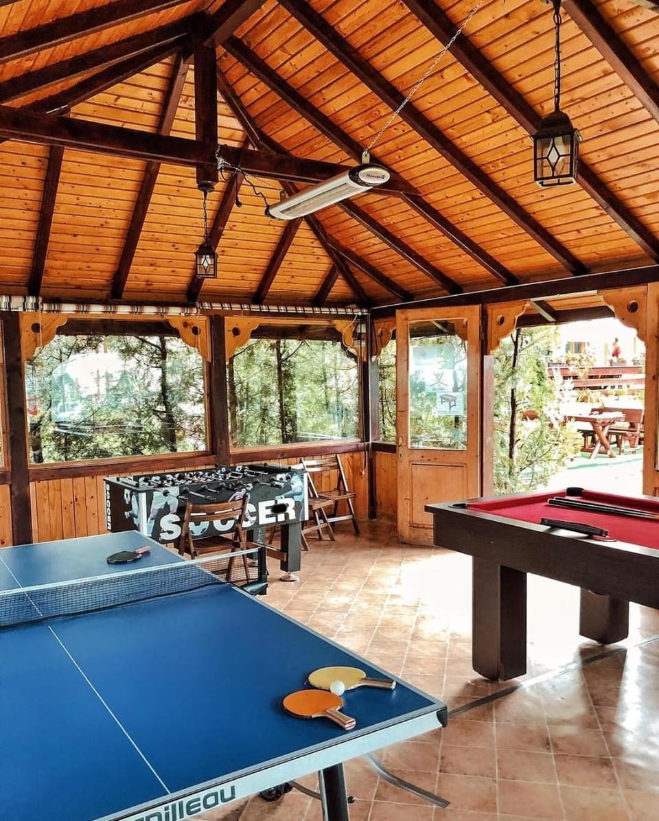 Billiard, Game Room, Table tennis