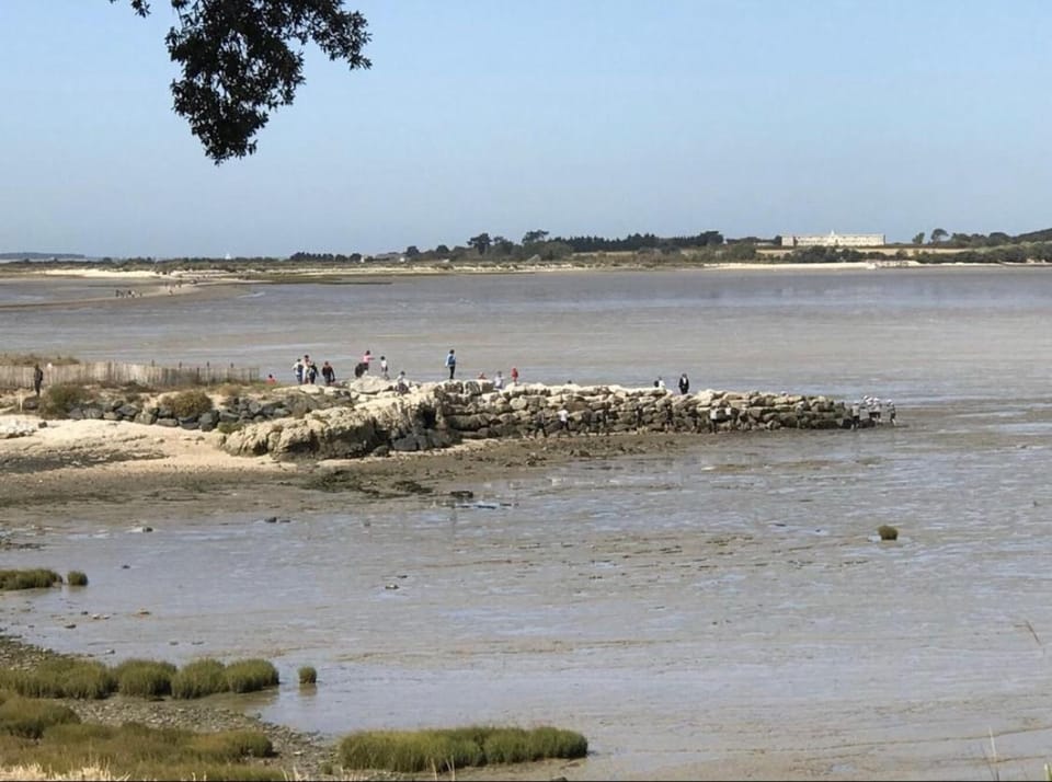 un Chalet avec jardin à 1km de la mer Chalet in Nouvelle-Aquitaine