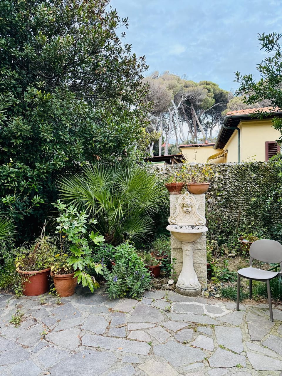 Garden view