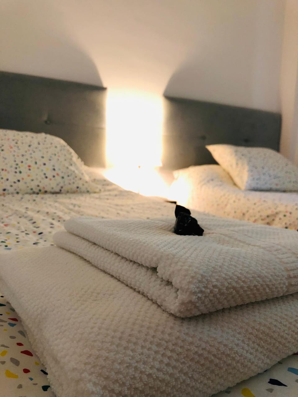 Duplex Archidona Centro Apartment in Andalusia