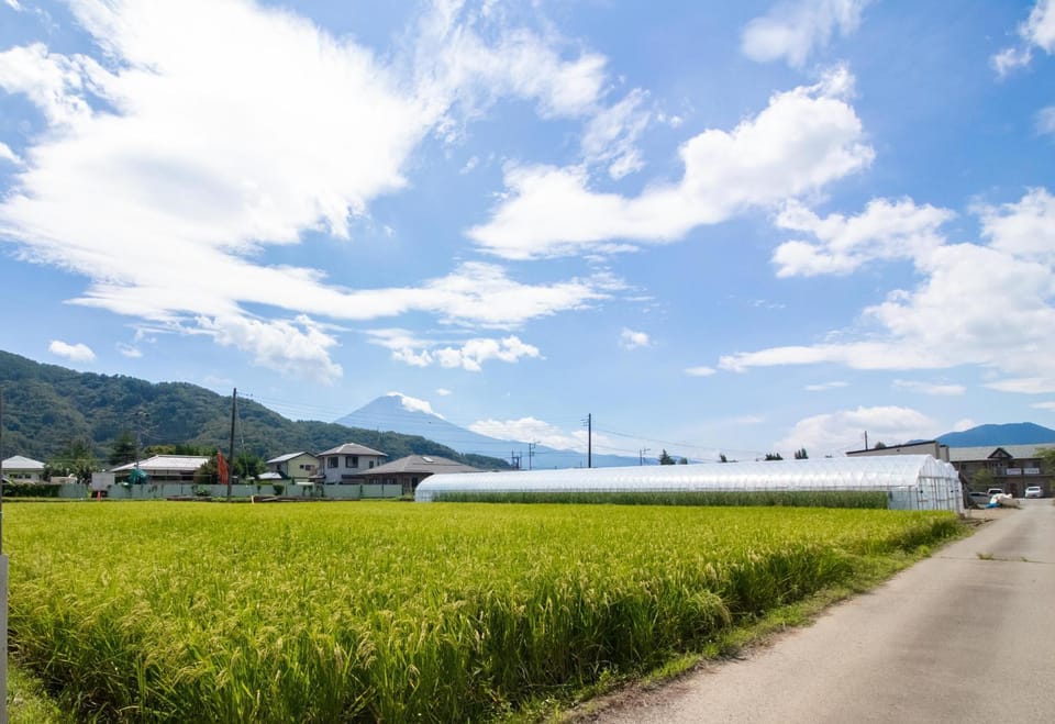 Day, Neighbourhood, Mountain view