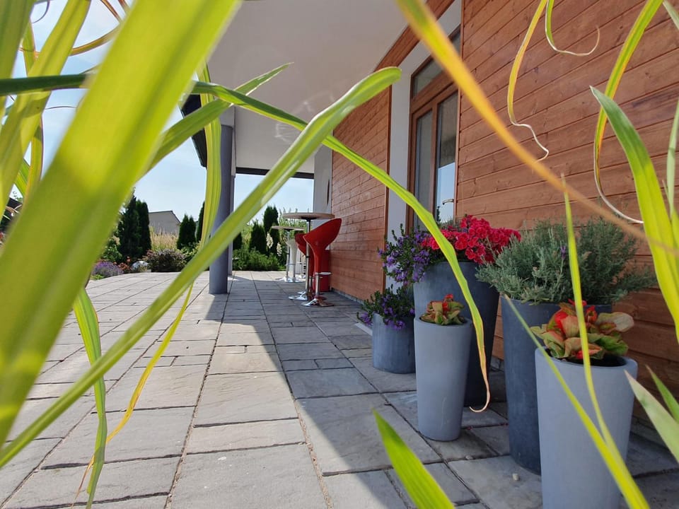 Patio, Balcony/Terrace, Balcony/Terrace