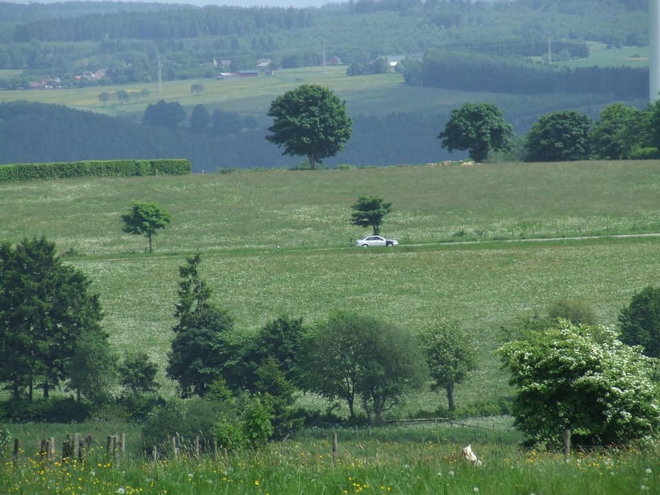 Natural landscape