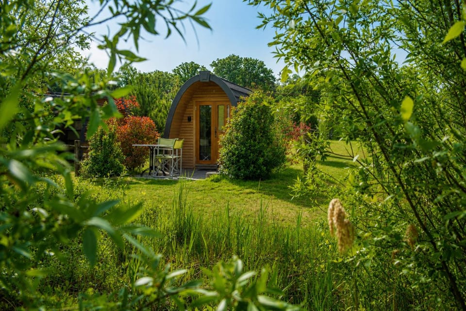 Property building, Day, Natural landscape, Summer