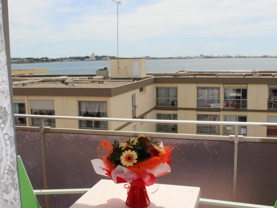 Appartement cosy avec balcon proche des Thermes - Animaux admis, parking privatif - FR-1-503-45 Apartment in Balaruc-les-Bains