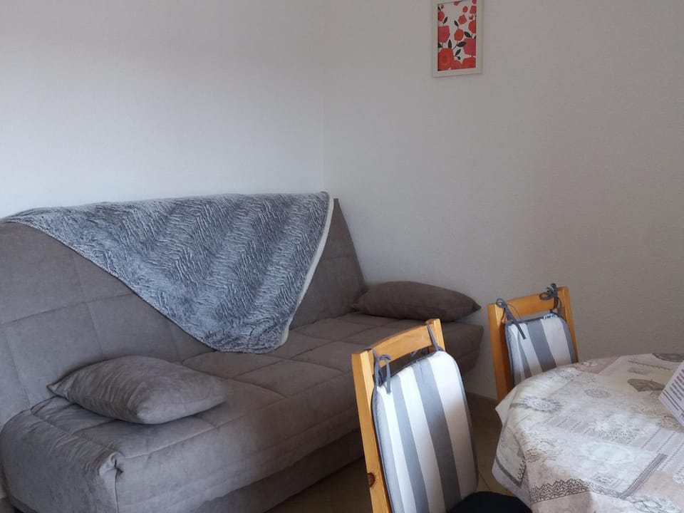Appartement cosy proche des thermes, animaux admis - FR-1-503-61 Apartment in Balaruc-les-Bains