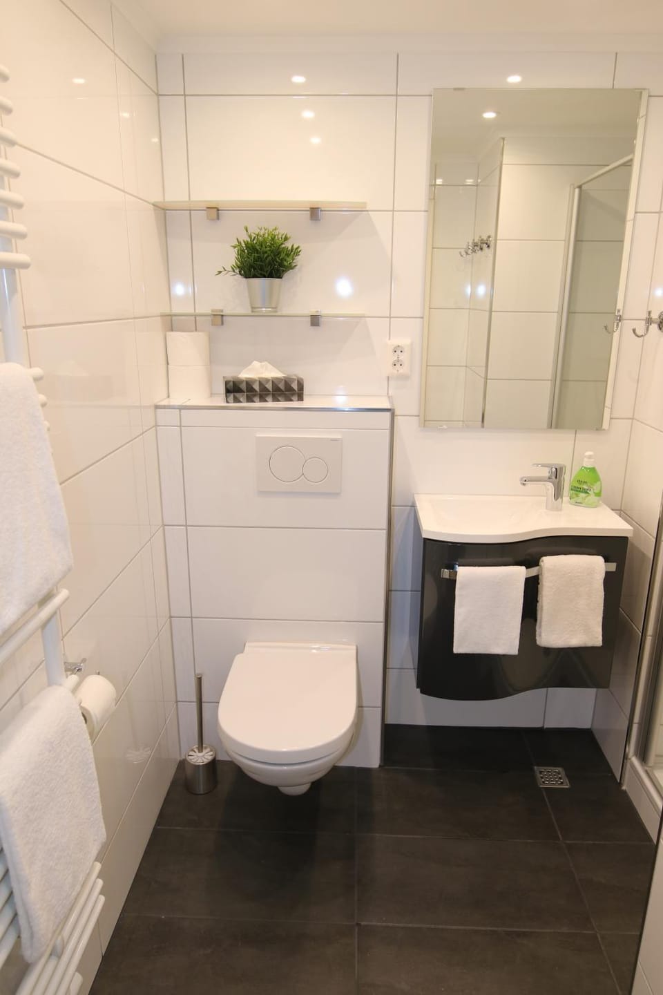 Toilet, Bathroom