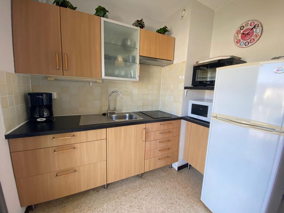 Appartement 2 étoiles proche Thermes avec animaux admis - FR-1-503-101 Apartment in Balaruc-les-Bains