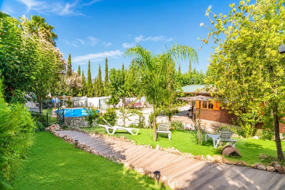 Patio, Garden, Garden view