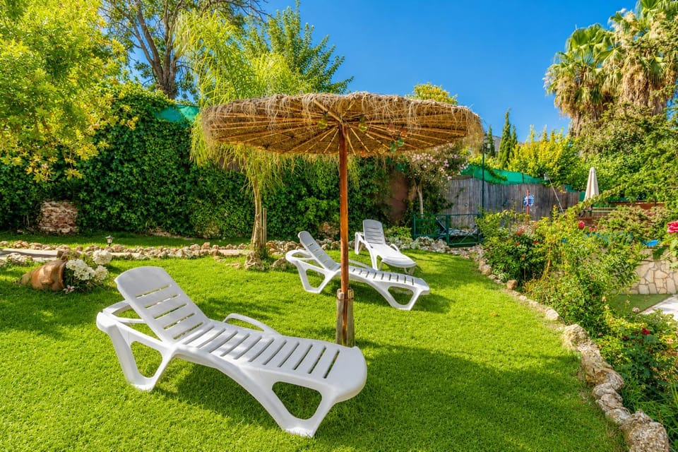 Patio, Garden, Garden view