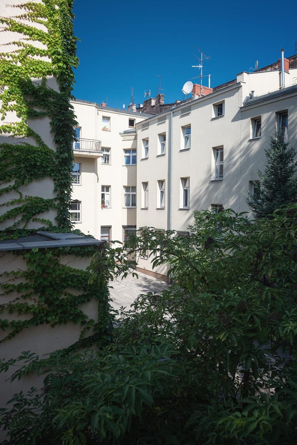 Property building, Inner courtyard view