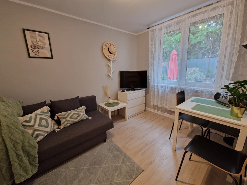 Communal lounge/ TV room, TV and multimedia, Living room, Seating area, Bedroom