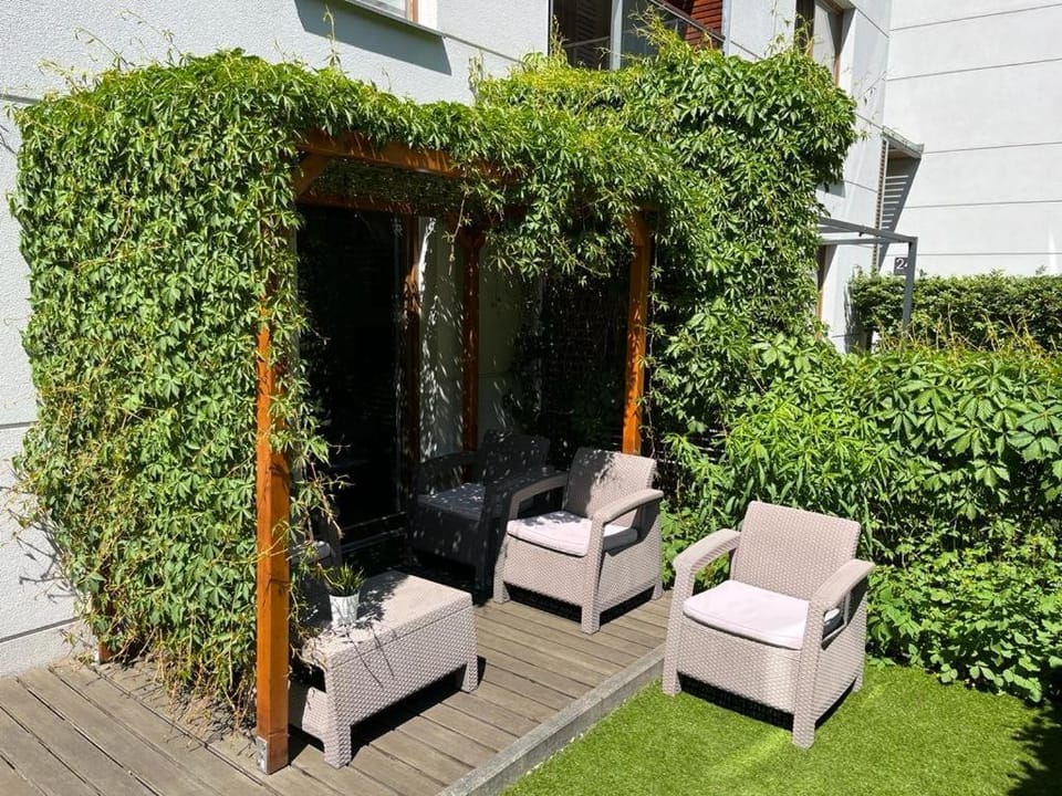 Patio, Spring, Garden, Garden view